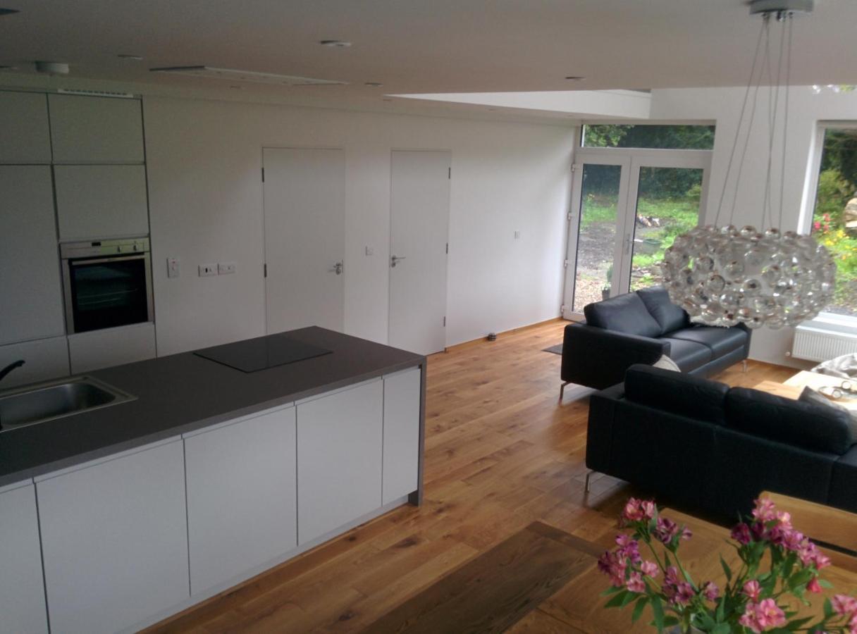 Spacious Contemporary Chalet Type Apartment. กัลเวย์ ภายนอก รูปภาพ